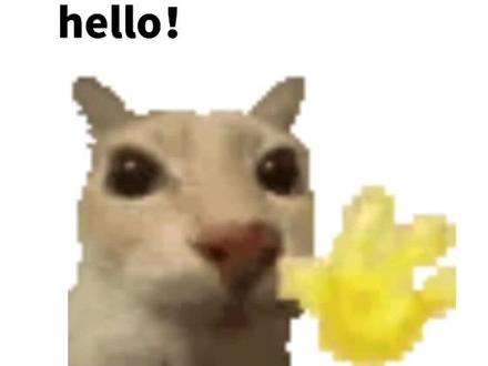 hello!
#小猫表情包 #表情包 #hello #hi #小猫