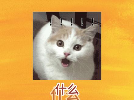 玩游戏的尽头竟然是“编制”!AG电竞俱乐部成立团组织! #成都ag超玩会#成都ag超玩会一诺 #游戏快上号