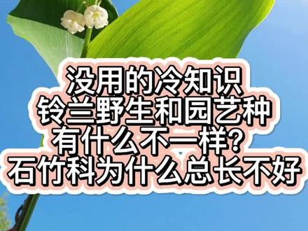 #养花小知识 #养花我是认真的 #养花达人 要不要出个植物冷知识呢栏目?