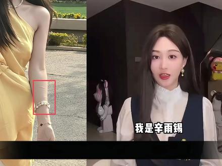 六年时间和精力,无数的钱加上三条命 #辛雨锡 #嫂子 #牛