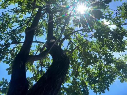 “橹橹身边这么多人啊”
#橹穆 #all橹 #王橹杰 #捡手机