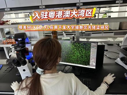 数智化倒置荧光显微镜MIX60-FL助力大湾区细胞荧光转染 在干细胞药物与细胞基因治疗迅猛发展的今天,细胞研究已成为生命科学与医疗产业化交汇的核心领域。作为我国科技创新前沿阵地,粤港澳大湾区正集聚资源,推动细胞产业从实验室走向临床与应用。今天,让我们一起看看,明美数智化倒置荧光显微镜MIX60-FL是如何入驻粤港澳大湾区,助力细胞荧光转染观察拍照!