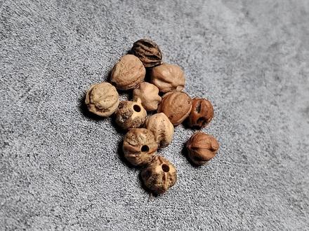 知识篇:关于热振和甘孜柏香籽最简单的辨别方法,只能代表大多数,有少部分甘孜和热振的牙口几乎一样,很少。
#文玩 #百香籽 #柏香籽