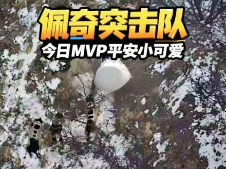 小小佩奇,轻松拿捏。@佩奇突击队-坦克 @佩奇突击队-牛牛 @-铁扇公主🎈 #国外合法狩猎