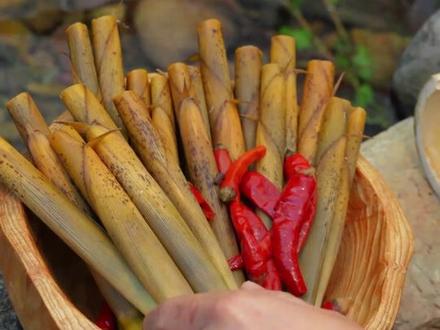 种田文日常,钻进春天里踩水抓鱼,竹林拔笋解压治愈,竹筒焖鱼配 上手剥笋,这才是山野该有的味道#竹笋 #野炊 #走挖野菜去 #抖音新农人 #新农人计划2026 #春日撒野指南