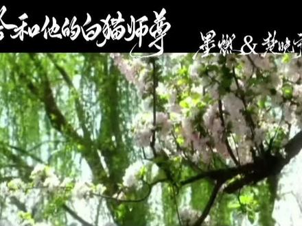 幸福降临在燃晚手中#二哈与他的白猫师尊 #楚晚宁 #墨燃 #燃晚