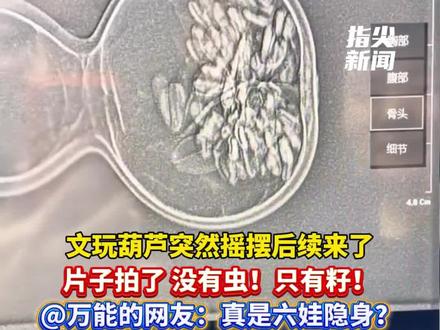 文玩葫芦突然摇摆后续来了
片子拍了 没有虫!只有籽!
@万能的网友:难道真是六娃隐身?
(编辑 孟雪 责编 王牡丹)