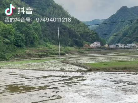 24小时前,这里还是一片汪洋🌊
现在水退了,河床边的石头都露出来了
最庆幸的是--
昨天差点被冲走的鸭子小宝,现在正歪着头看我#洪水退去 #农村萌宠 #农村生活 #农村 #鸭子小宝