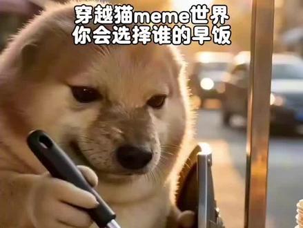 你会选择哪个meme呢 #猫meme #我的刀盾 #极度舒适 #ai创作浪潮计划