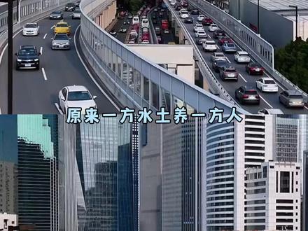 以为是品种 原来是户口#法斗 #边牧 #娱乐评论大赏 #万万想不到