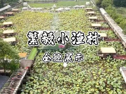 繁毅农庄之繁毅小渔村#原生态乡村生活