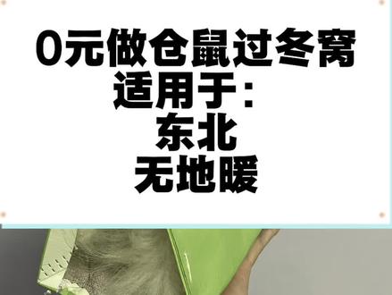 无地暖版仓鼠过冬窝#仓鼠过冬窝 #金丝熊 #仓鼠