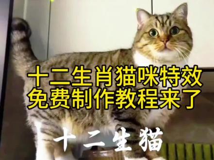 十二生肖猫咪p图豆包ai指令 十二生肖猫咪p图怎么跟豆包说 十二生肖猫咪p图教程 十二生肖猫咪p图豆包 十二生肖猫咪p图豆包口令 十二生肖猫咪 豆包app把猫p成12生肖口令 十二生肖猫咪p图素材 十二生肖猫咪p图ai口令 十二生肖猫咪p图ai 十二生肖ai指令入口十二生肖猫咪p图 豆包把猫p成12生肖指令 十二生肖之猫猫的幻想教程#剪映 #十二生肖猫咪p图ai #十二生肖之猫猫的幻想#十二生肖ai指令入口 猫十二生肖怎么p 十二生肖猫咪p图教程 十二生肖猫咪p图素材 十二生肖猫咪p图特效 十二生肖猫咪特效制作教程 十二生肖制作入口