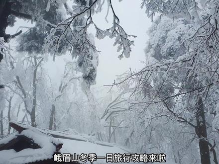 峨眉山冬季一日旅行攻略来啦~冬季出行不踩雷!天气好观云海,雾天玩雪也仿佛置身天上人间!#峨眉山 #旅行攻略 #一起看雪