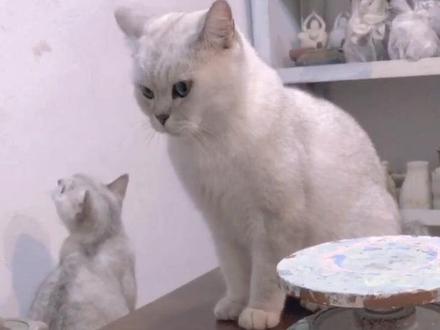 小猪🐷教程来啦!#手工陶艺 #传统手艺 #猫肥家润 #有猫的陶艺馆 #大脸陶艺馆