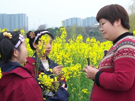 我的植物朋友不会写?学会这招轻松拿高分 #小学作文 #我的植物朋友 #学霸秘籍 #家长必看