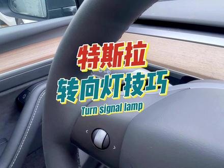 特斯拉这个转向灯操作真的是太舒服了 #特斯拉 #modely #model3 #特斯拉小技巧