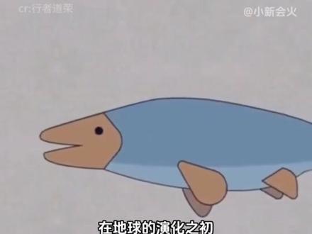 怪不得屁股是左右两瓣 #奇怪的知识增加了 #抖音细糠版#冷知识