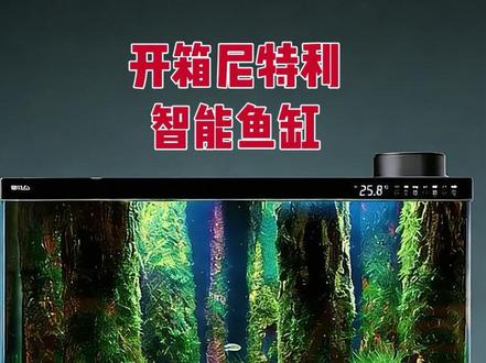 专业水族品牌尼特利也发布智能鱼缸了 就问小米智能鱼缸慌不慌#小米智能鱼缸 #尼特利 #养鱼日记 #开箱 #水草缸