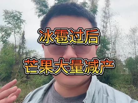 忙活大半年|一场冰雹一场空#冰雹 #冰雹来袭 #冰雹雨 #冰雹冰雹冰雹冰雹冰雹 #冰雹天灾