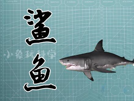 折纸鲨鱼教程,五张纸就可以折出鲨鱼一家。 #创意手工 #折纸 #亲子手工 #萌知计划