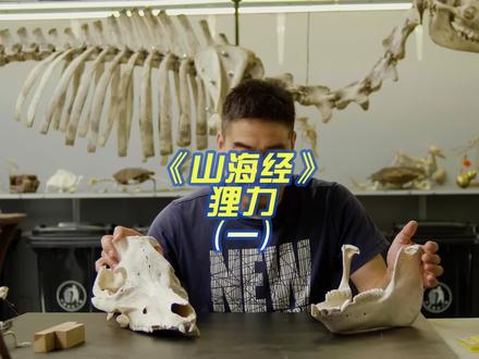 手工拼装《山海经》里的狸力来了 #9号手工骨雕