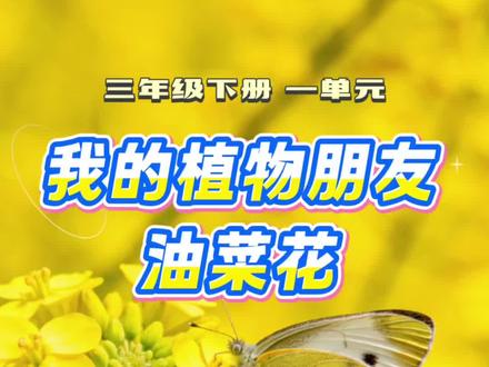 三年级下册 一单元 我的植物朋友-油菜花
#高分作文范文 #三年级语文 #油菜花 #油菜花的季节 #惠崇春江晚景