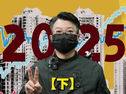 2025年经济形势大变局(下) #2025年#经济 #财经 #金牌守护家