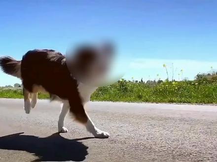 给视频需要遮盖部分打码的2种方法 简单快速 剪映打码教程