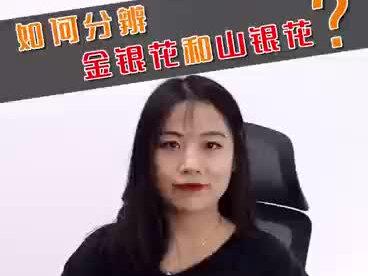 金银花跟山银花的功效区别#中药材#金银花#植物饮料