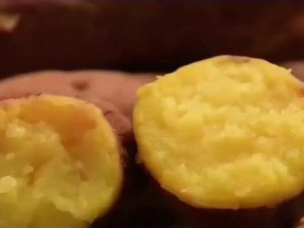 毒红薯产业链 已涉及多省