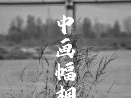 八十年代的国产旗舰双反中画幅相机:海鸥4A#胶片 #胶片摄影#胶卷 #胶片相机 #双反相机