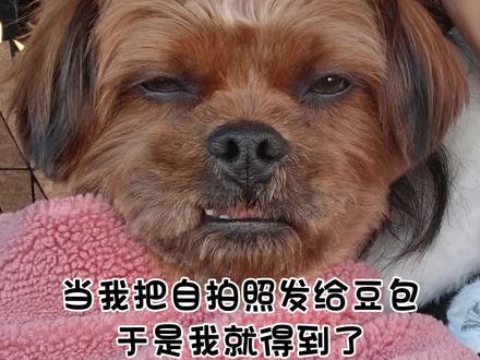 当我把自拍照发给豆包……
氛围感头像这不就来了吗😃
#豆包p图 #氛围感头像 #豆包ai #豆包p图指令 #豆包