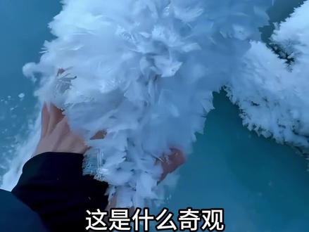 分享40种自然奇观,你认识几种?#大自然的魅力 #视觉震撼 #科普