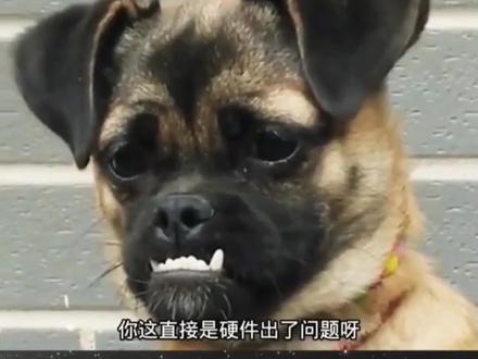 早安亲们,今天您笑了吗!