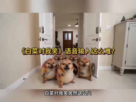 白菜对我笑语音输入居然这么难