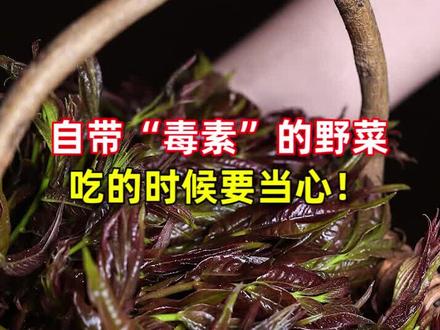 三种自带“毒素”的野菜,吃的时候要当心!#野菜 #食品安全 #科普