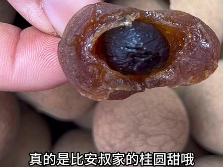 你为什么要吃桂圆干#广东中考 #广东中考语文 真的比安叔的桂圆甜哦#安叔桂圆