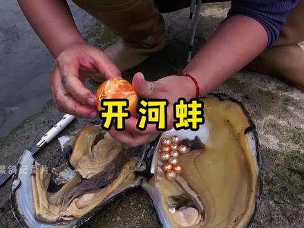 河蚌里竟然开出了巨型珍珠球 #我的乡村生活 #真实户外