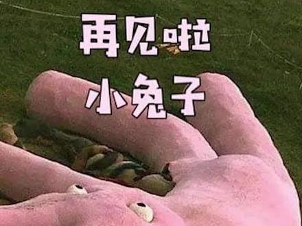 #巨型粉色兔子消失了,以后在卫星地图也看不到了,谢谢你装点这个世界,好好说句再见#阿尔卑斯山的巨型兔子 #艺术