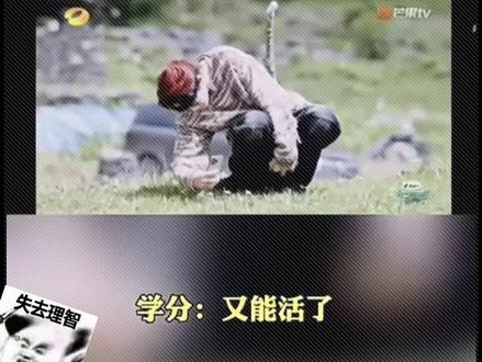 这是真的吗,我磕的cp又可以同台了吗#蒲熠星 #南北cp