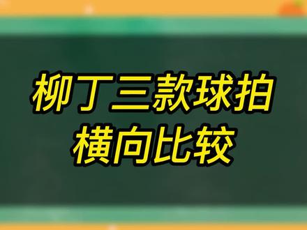 柳丁家最火三款球拍的横向对比,仅供参考#100zz #柳丁88s #柳丁水之呼吸 #羽毛球拍