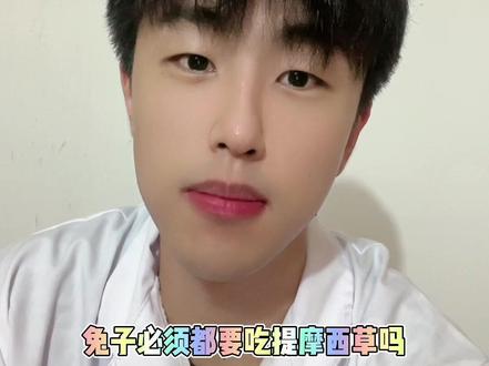提摩西草不是必须的?怎么说?#兔子 #兔子科学喂养#豚鼠 #龙猫#养兔人