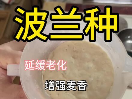 这个面种做面包嘎嘎香嘎嘎软嘎嘎好吃,还可以做馒头 #波兰种#老面