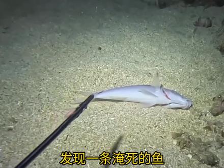 渔民海底赶海都能捞点啥海货#赶海