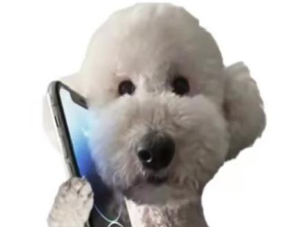 学会尊重!
今天我主要是帮奶爸回应以下几点问题:
第一,就是奶爸不让二创这件事,不是不让做表情包,只要不是侮辱故意丑化奶爸都让做表情包(这句原话奶爸在粉丝群说过),是因为有些人会直接用奶爸视频进行二创,抖音会判定奶爸抄袭,会给奶爸限流,奶爸自己的作品因为二创太多他都发不出去,抖音有时候还会因此下架奶爸视频(粉丝群有截图为证)
第二,为什么不让小黑粉在视频下面开玩笑,因为牛奶帅大旺都快10岁了,真的是从小看到大的小狗,人家真的把狗狗当儿女养了,一群人网暴自己的儿女,说自己的儿女丑,谁能开心,这群人也不是真喜欢小狗,进粉丝群还起侮辱牛奶的ID!黑粉还到粉丝群复制粘贴刷屏让大家都看不到消息了,奶爸把他们毕业了,他们还用小号进群辱骂奶爸,之前还有黑粉进群说吃狗肉,奶爸岁数都这么大了,这流量对人家真是无妄之灾,积点口德吧!
第三,为什么酸奶波妞被开玩笑人家不说什么,因为这两个博主都是专门做互联网的,都开了橱窗带货。但是奶爸早就可以开橱窗了,但是人家不需要这种黑流量,人家现实生活中很忙,奶爸奶妈都有工作,闺女也在读高三,人家不需要带货!人家也不想当网红!奶爸就想给喜欢牛奶的粉丝朋友们分享牛奶日常。波妞酸奶人家没有公开拒绝你们玩梗你们爱玩就玩,奶爸公开说了不喜欢狗被辱骂,不喜欢黑粉“玩黑梗”的行为,就不要这样做了!
第四,奶爸确实可以追究黑粉法律责任,因为这是著作权范围,不是黑粉所谓的肖像权!请黑粉把高中念完可以吗!#大牛奶 #奶家军 #奶粉 #小狗🐶