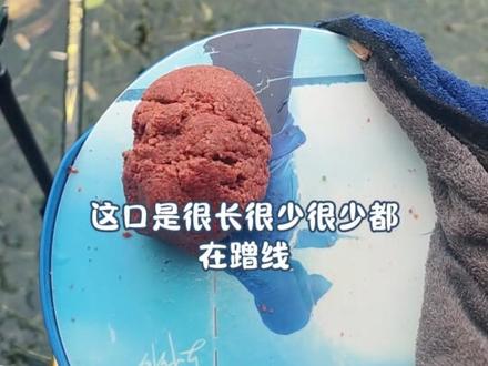 气压低,有鱼也不开口。 #钓鱼的乐趣只有钓鱼人懂记录一下 #创作者中心 #创作灵感 #野钓请投币 #上海钓鱼人
农历二月廿五,小雨🌧️,19℃~12℃,东北风4级,中潮(死汛),气压:1009hPa。
2条瓜子鲫,1条白条。😂