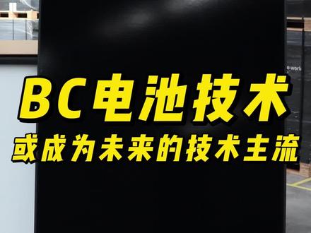 多家龙头光伏企业押注! BC电池技术有望成为未来的技术主流! #光伏 #光伏组件 #光伏发电
