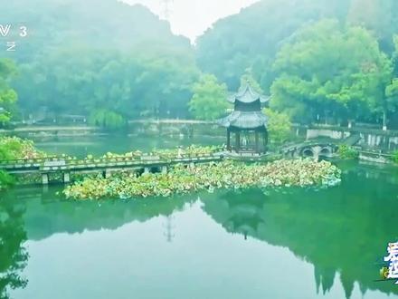 锁定CCTV-3爱上这座城,来看谭松韵啦#谭松韵