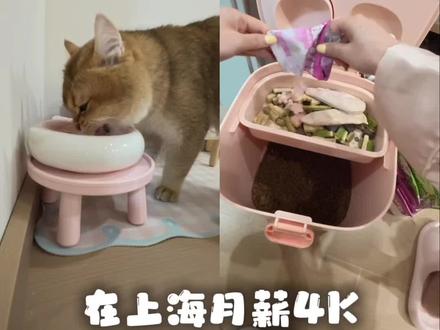 13分钟vlog|一人俩猫的日常📝
喂猫开箱宵夜版
#猫咪配餐vlog #vlog #vlog日常 #喂猫日记 #养猫人